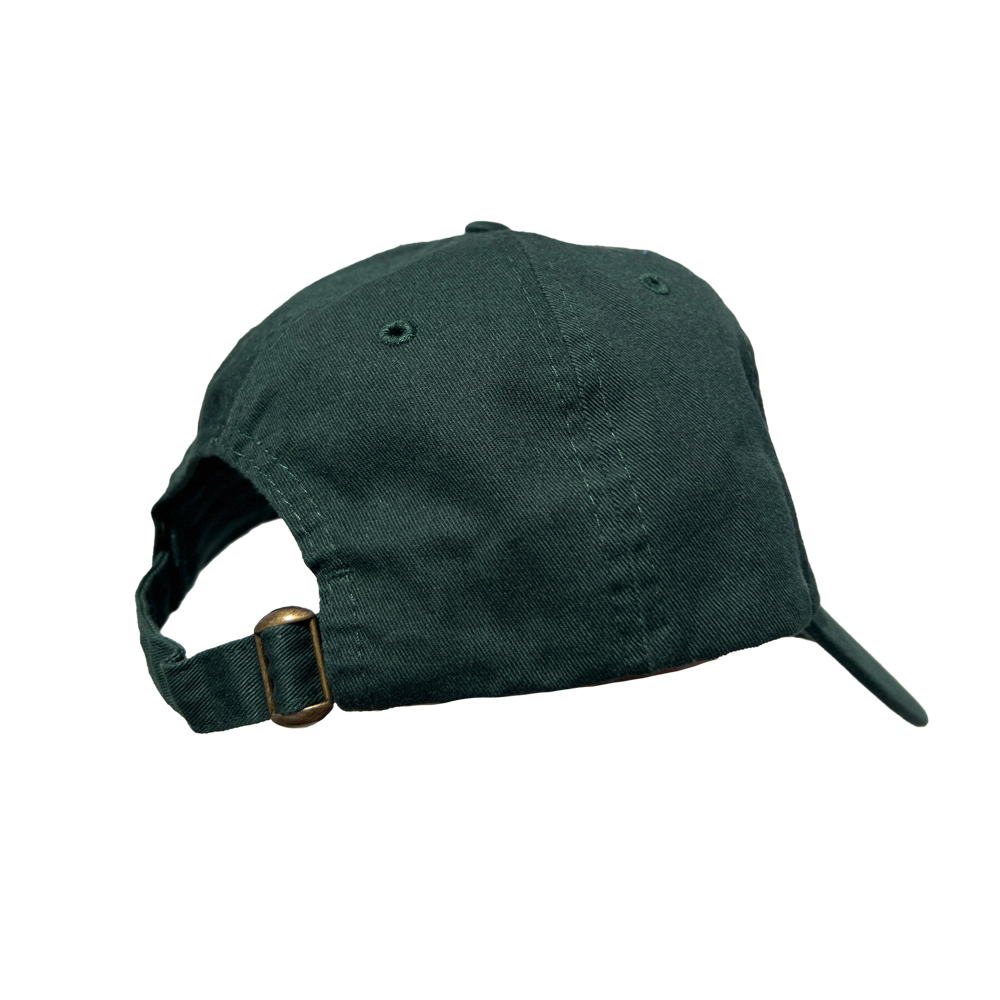 Newark Paramount Dad Cap