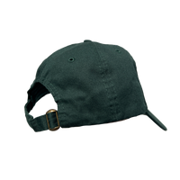 Newark Paramount Dad Cap