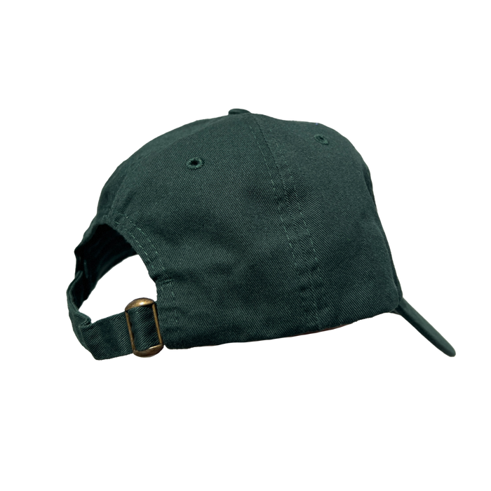 Newark Paramount Dad Cap